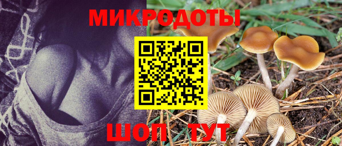 Луга  Псилоцибиновые грибы мицелий  Вход с VPN 
